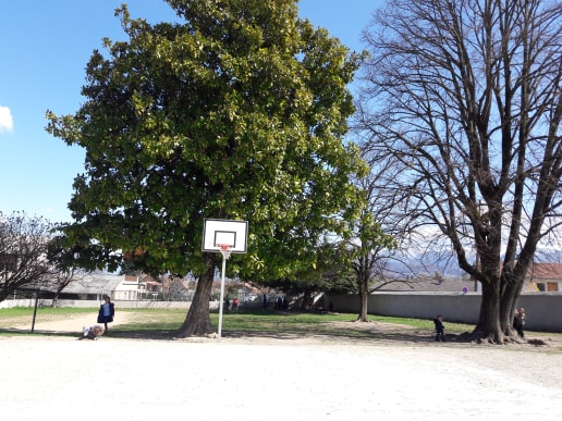 55692919_639677956478985_3744542089984081920_n